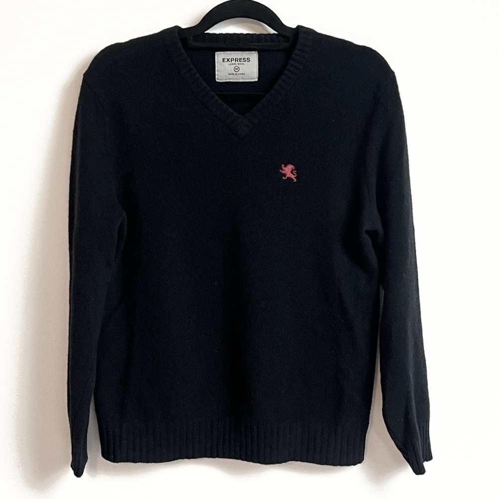 Express Men’s Solid Black V Neck Sweater Lambs Wool Knit Pullover Medium
